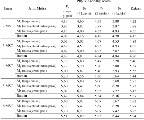 Tabel 3.  Rataan jumlah anakan per rumpun bawang merah 2 – 6 MST (anakan) pada perlakuan jenis mulsa dan pemberian pupuk kandang ayam 