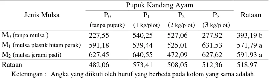 Tabel 8. Rataan bobot kering jual umbi per plot bawang merah (g) pada perlakuan jenis mulsa dan pupuk kandang ayam 