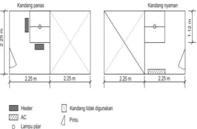 Gambar 1. Layout kandang penelitian 