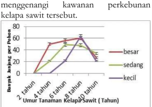 Gambar 3. Grafik hubungan diameter batang  tanaman  dengan  jumlah  pelepah  perpohon  untuk semua umur sampel