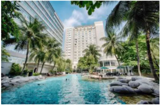 Gambar 2.11 Lagoon Swimming Pool 