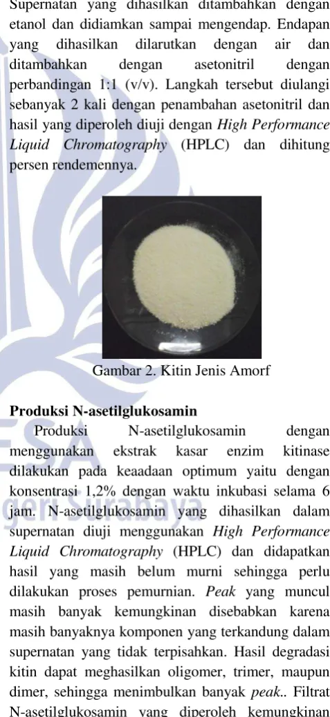 Gambar 2. Kitin Jenis Amorf 
