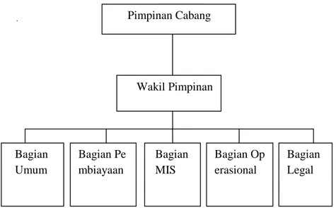 Gambar 2.1. Struktur  Organisasi PT. Bank Aceh Syariah Cabang Blangpidie