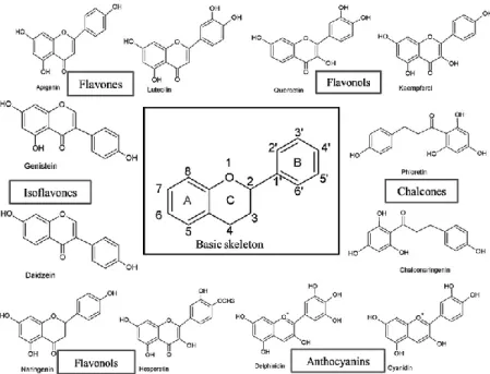Gambar 2.2 Struktur Kimia tipe-tipe Flavonoid 