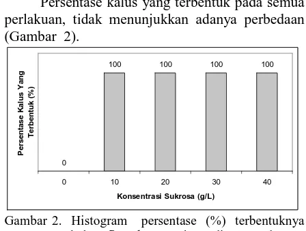 Gambar 2.  Histogram   persentase  (%)  terbentuknya   kalus  B  rubra   pada media  MS  dengan  