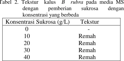 Tabel 2. Tekstur  kalus  dengan konsentrasi yang berbeda  