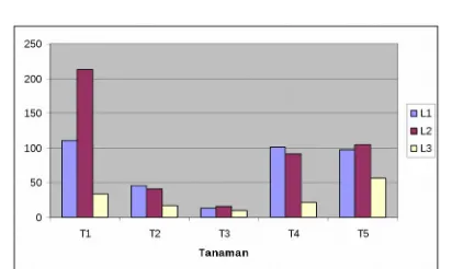 Gambar 1. Histogram tinggi tanaman setelah perlakuan