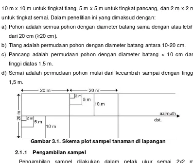 Gambar 3.1. Skema plot sampel tanaman di lapangan 