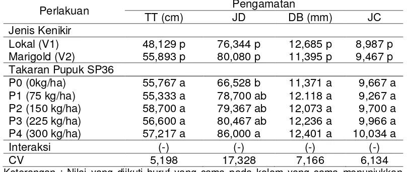 Tabel 8. Tinggi Tanaman kenikir pada interaksi perlakuan jenis kenikir dan takaran pupuk SP36 umur 4 mst 