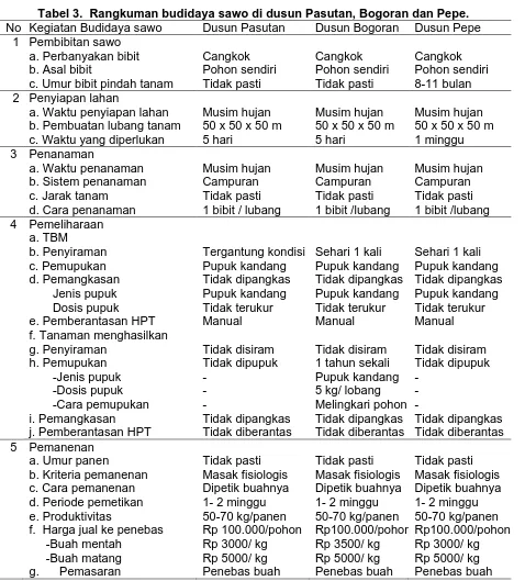 Tabel 3.  Rangkuman budidaya sawo di dusun Pasutan, Bogoran dan Pepe. Dusun Pasutan  