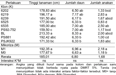 Tabel 1. Tinggi tanaman, jumlah daun, dan jumlah anakan pada umur 25 mst 