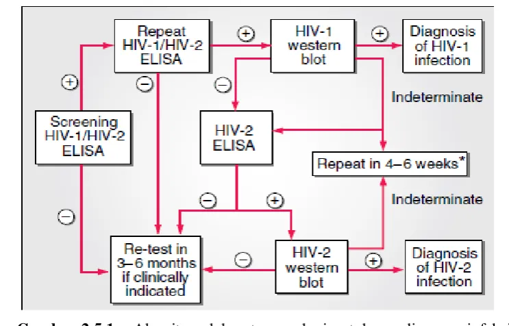 Gambar 2.5.1 – Algoritma dalam tes serologi untuk mendiagnosa infeksi HIV-1 