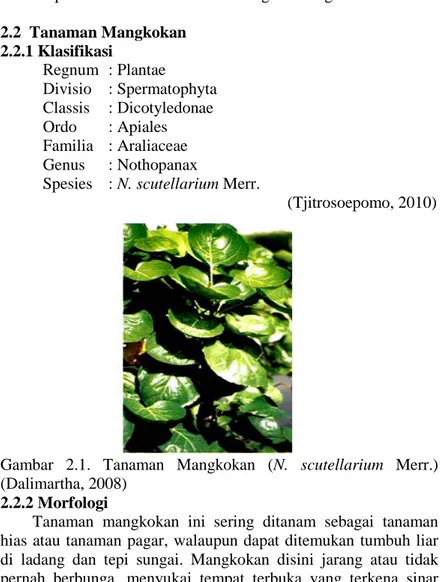 Gambar  2.1.  Tanaman Mangkokan (N. scutellarium Merr.)  (Dalimartha, 2008) 