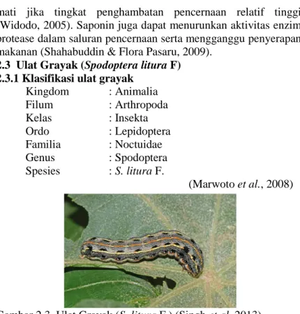 Gambar 2.3. Ulat Grayak (S. litura F.) (Singh et al, 2013). 