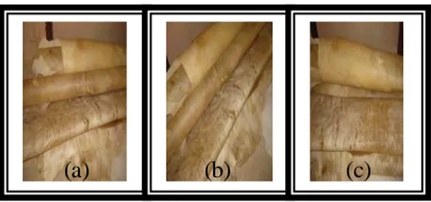 Gambar 1. Identifikasi secara organoleptik kulit perkamen kambing (a), sapi (b)  dan kerbau (c) bentuk lembaran sebagai bahan baku wayang kulit 