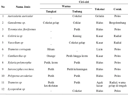 Tabel 2. Deskripsi Jamur Makroskopis di Cagar Alam Martelu Purba 