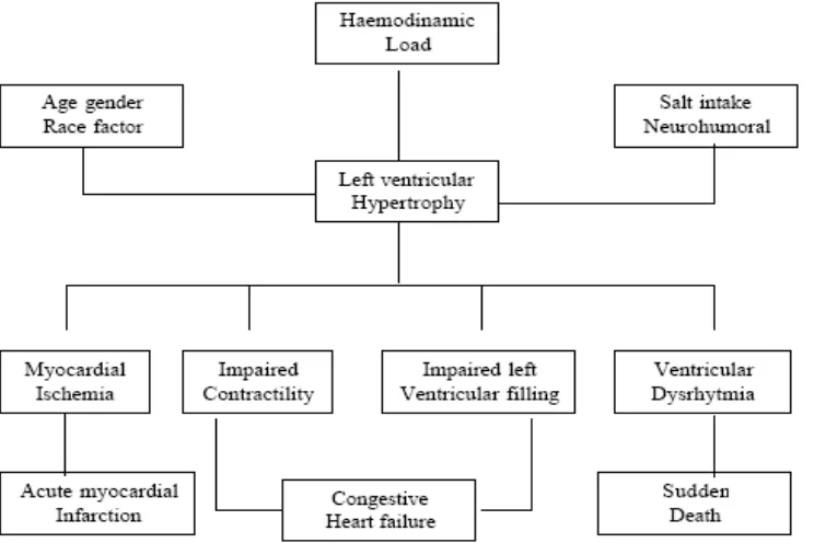 Gambar 2.1. Skema Patofisiologi HVK pada Hipertensi 