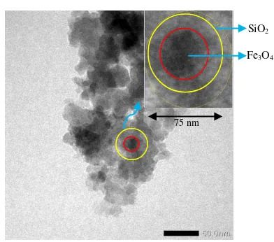 Gambar 3. Hasil uji TEM nanokomposit Fe3O4@SiO2 