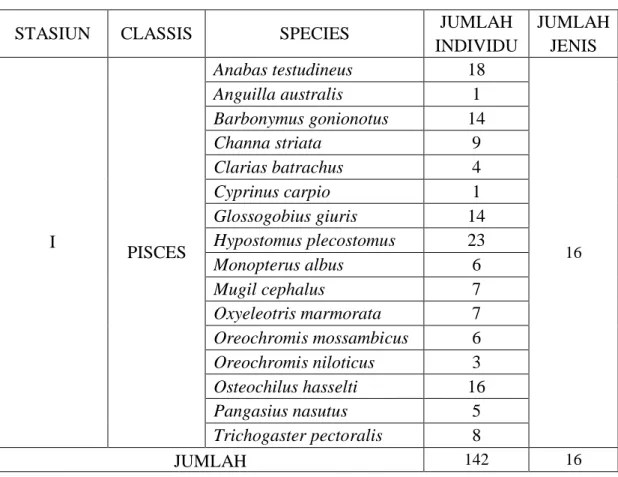 Tabel 4.1 Keanekaragaman Ikan pada Stasiun I yang Terletak di Kab. Wajo 