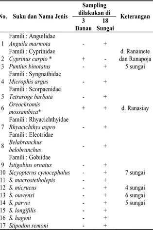 Tabel  5. Spesimen Ikan yang Dikoleksi dari  Manggarai, Flores Barat (Disusun dari  Laporan Tjakrawidjaja, 2002)