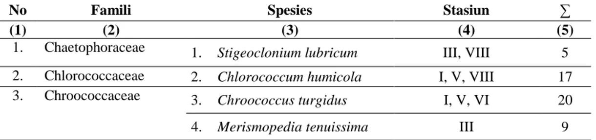 Tabel 4.1  Jumlah Spesies Fitolankton di Danau Lut Tawar Kabupaten Aceh Tengah 