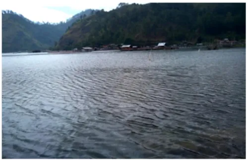 Gambar 2.4 Kondisi Lingkungan di Danau Lut Tawar   Kabupaten Aceh Tengah. 75