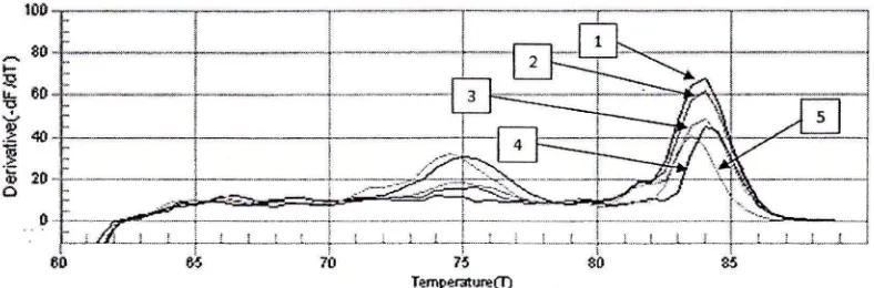 Tabel 5. Puncak titik leleh (Tm) pada kurva pelelehan dengan Real-Time PCRmenggunakan primer 63F/1387Rdan primer 63sF/63sR3 