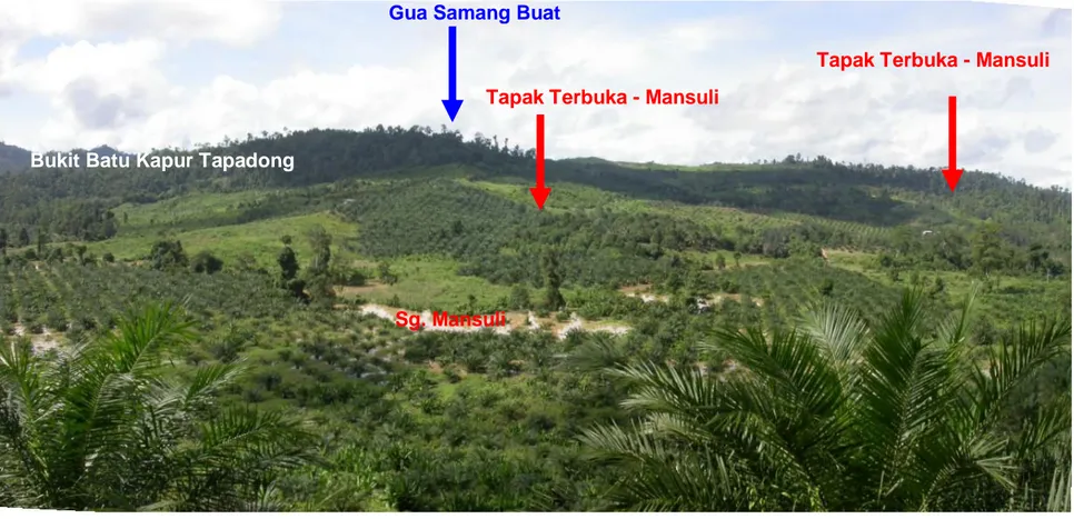 Foto 1.1: Panorama kawasan tapak kajian yang menunjukkan kedudukan gua Samang Buat dan tapak terbuka Mansuli yang dijumpai semasa  tinjauan dilakukan pada tahun 2004