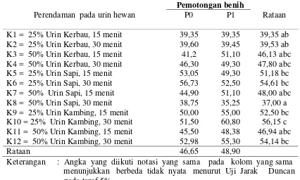 Tabel 4.  Umur berkecambah (hari) benih  biwa  akibat perlakuan perendaman pada      urin hewan dan pemotongan benih            
