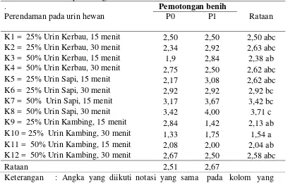 Tabel 6. Jumlah daun (helai) benih biwa akibat perlakuan perendaman pada urin             hewan dan pemotongan benih umur 90 hari 