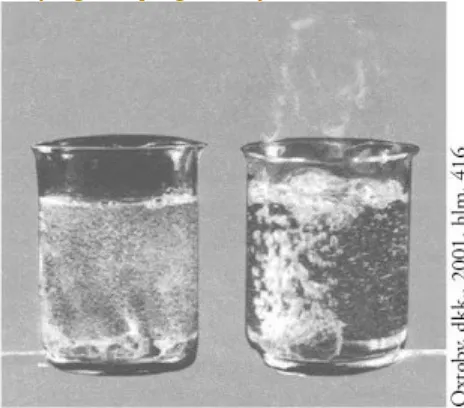 Gambar 4. Konsentrasi reaktan sangat berpengaruh pada laju reaksi seng dengan asam sulfat.Laju reaksi lambat dalam larutan berkonsentrasi rendah (kiri) dan cepat dalam larutan2.1