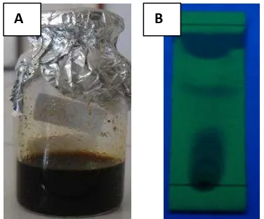 Gambar 2. Spektrum UV senyawa 1 dalam pelarut MeOH (A) dengan pereaksi geser NaOH (B)