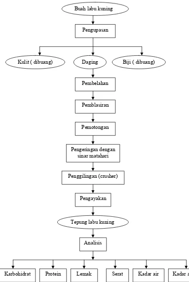 Gambar 3.1 Diagram Alir Pembuatan Tepung Labu Kuning 