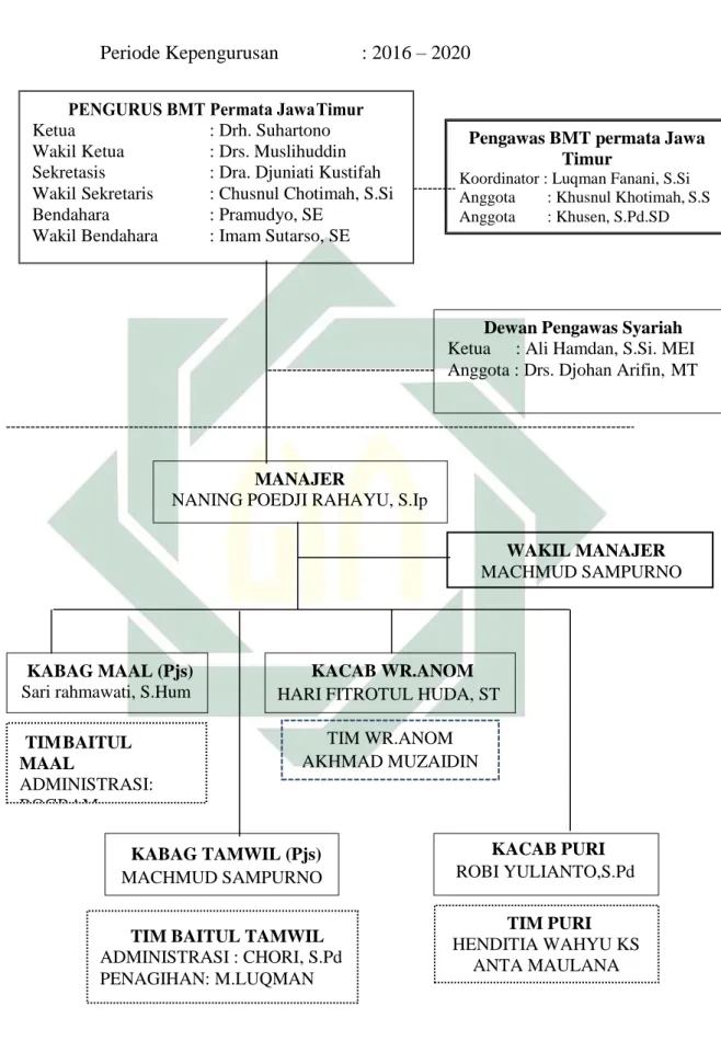 Gambar 3.1. Struktur organisasi BMT Permata Jawa 