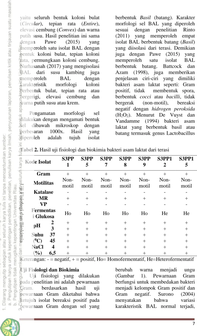 Tabel 2. Hasil uji fisiologi dan biokimia bakteri asam laktat dari terasi  Kode Isolat  S3PP 1  S3PP5  S3PP7  S3PP8  S3PP9  S3PP12  S3PP15 