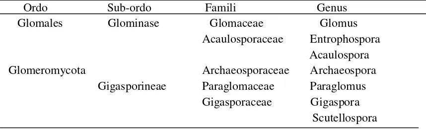 Tabel 1.  Klasifikasi fungi mikoriza arbuskular 