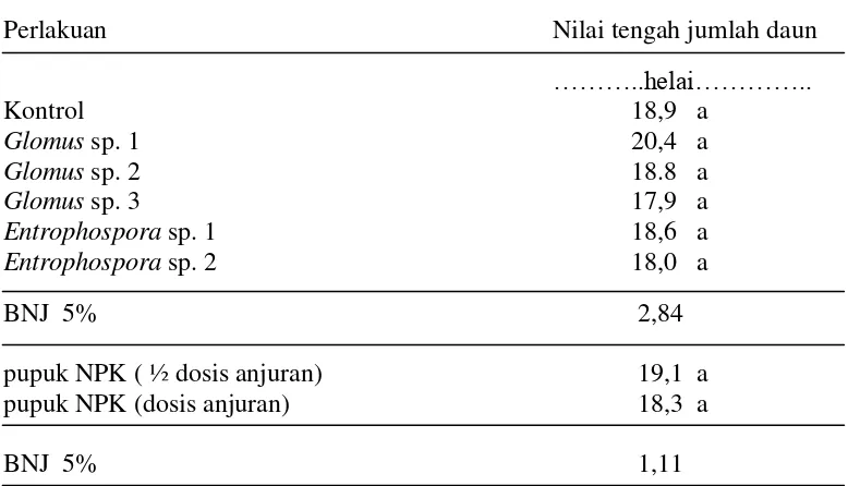 Tabel 7.  Pengaruh  jenis FMA dan dosis pupuk NPK pada bobot basah tajuk bibit                kakao umur 4 bulan