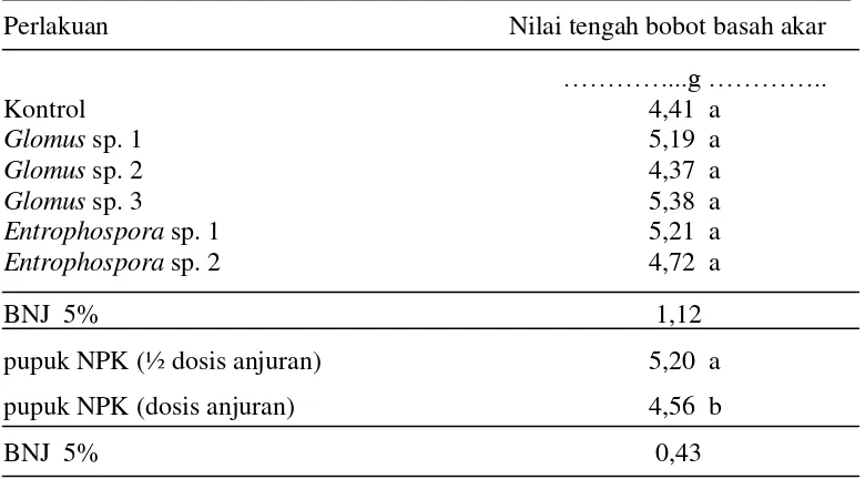 Tabel 9.  Pengaruh  jenis FMA dan dosis pupuk NPK pada bobot basah akar bibit                kakao umur 4 bulan