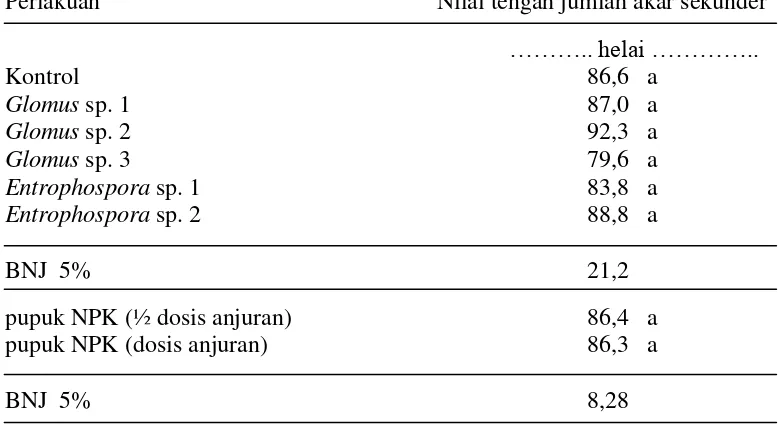 Tabel 13.  Pengaruh  jenis FMA dan dosis pupuk NPK  pada jumlah akar  sekunder bibit kakao umur 4 bulan