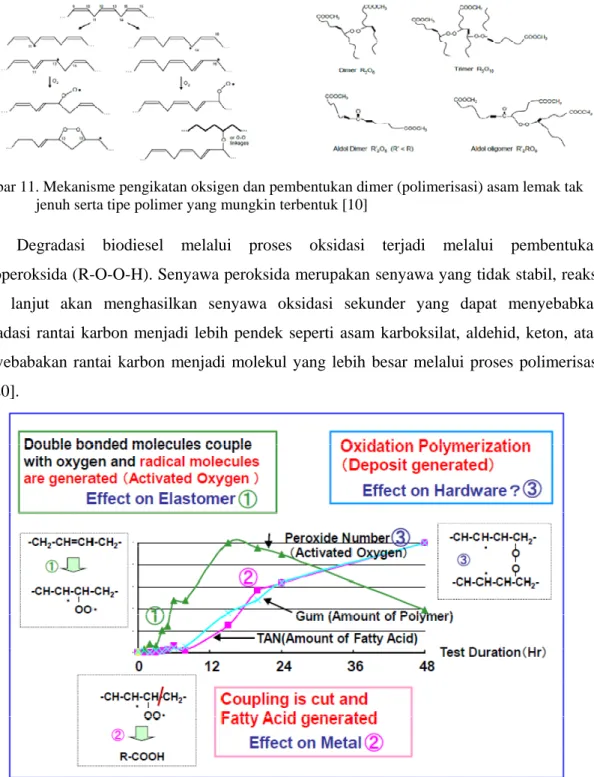 Gambar 12. Mekanisme degradasi biodiesel melalui pengikatan oksigen dan pembentukan  radikal  menghasilkan senyawa polimerisasi dan senyawa asam [21] 