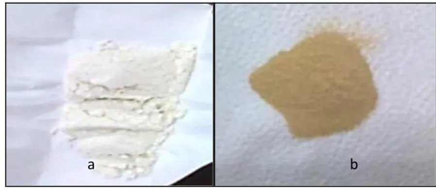 Gambar 1 selulosa jerami padi (a) Jerami padi (b) 