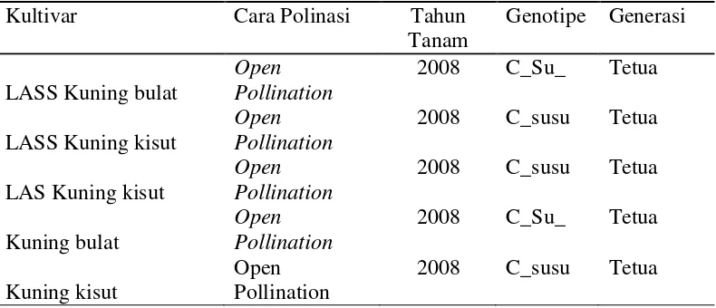 Tabel 1. Lima kultivar jagung manis yang digunakan sebagai tetua dalam penelitian. 