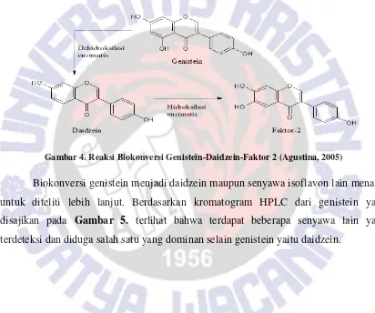 Gambar 4. Reaksi Biokonversi Genistein-Daidzein-Faktor 2 (Agustina, 2005) 