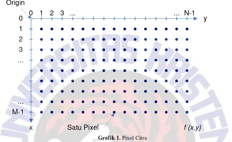 Grafik 1. Pixel Citra 