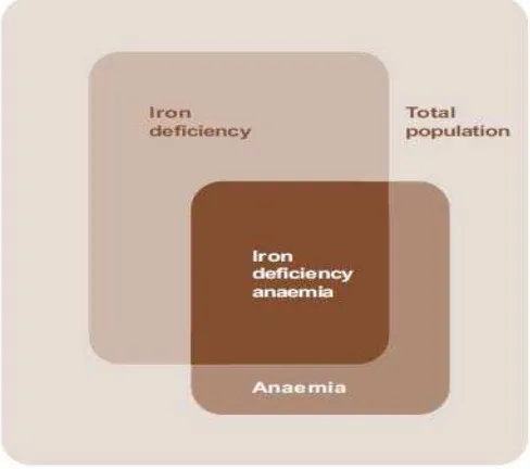 Gambar 2.1. Diagram Hubungan Antara Defisiensi Besi, Anemia Defisiensi Besi,  dan Anemia (sumber: Adaptasi dari Yip R