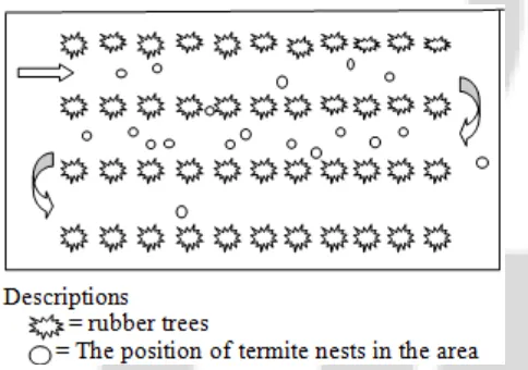 Figure 1: Sketch job search subterranean termites nest 