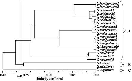 Figure 4. A dendrogram based on UPGMA generated from 29 morphological and 11 ISSR primers of mangosteen and its close relatives