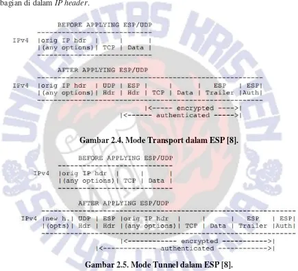 Gambar 2.4. Mode Transport dalam ESP [8]. 