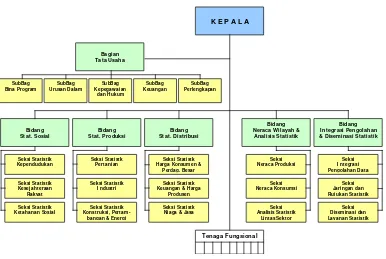 Gambar 3.1 Struktur organisasi BPS  Provinsi 