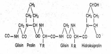 Gambar 2. Struktur kimia gelatin  